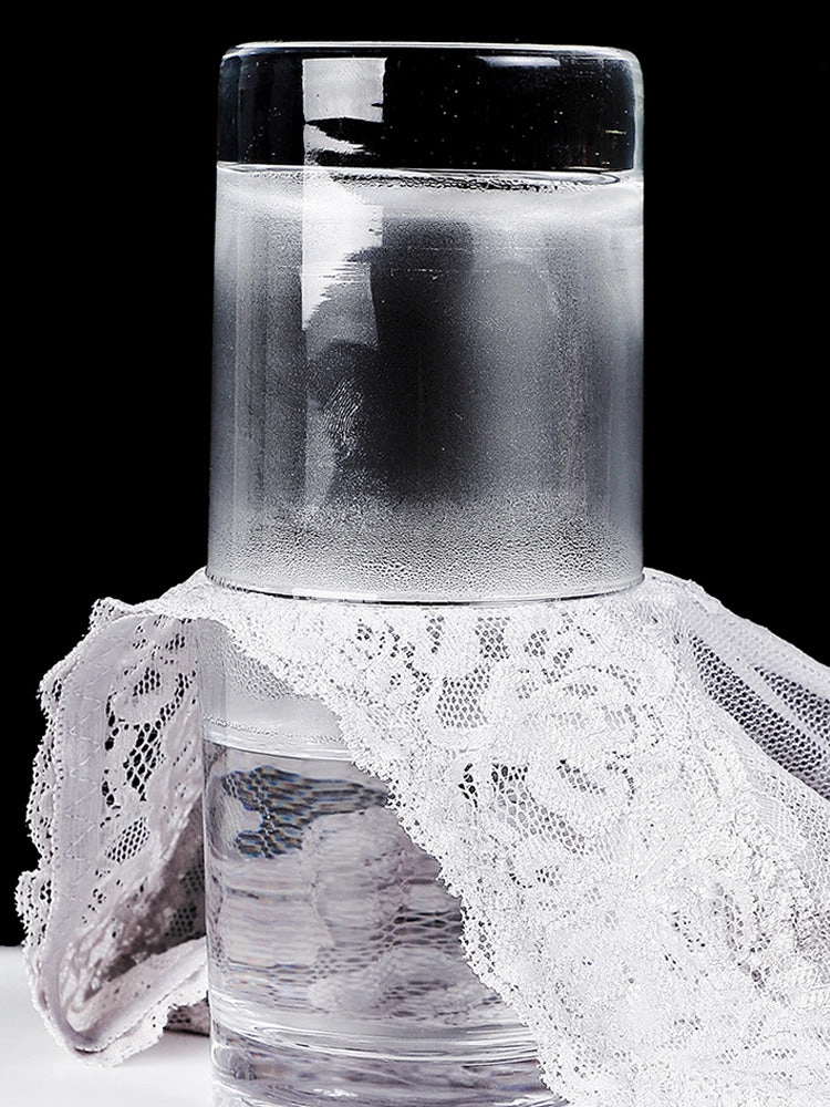 4-Pack Sexy Transparent Lace Mid-Waist Underwear