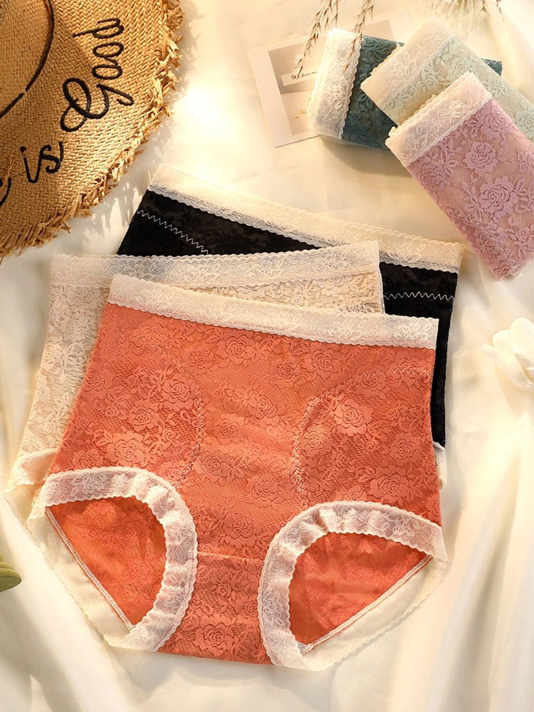 4-Pack Womens Sexy High Waisted Lace Brief