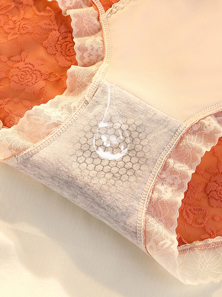 4-Pack Womens Sexy High Waisted Lace Brief
