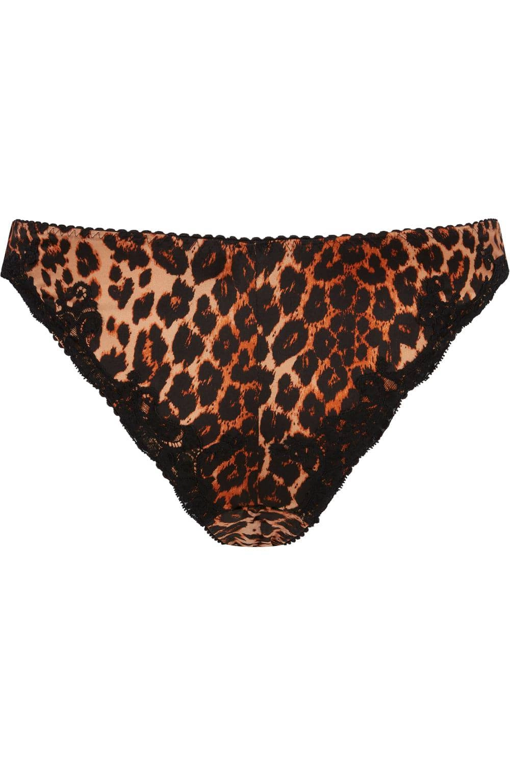 Molly Brief