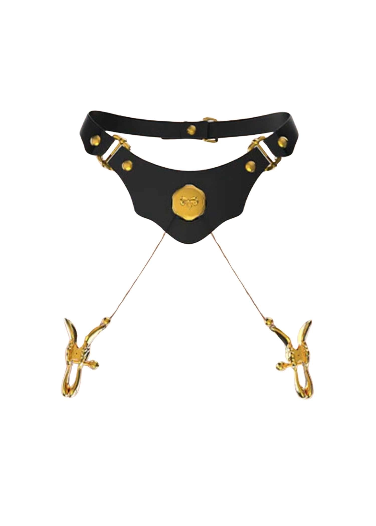 Mystic Bond Leather Collar with Nipple Clamps
