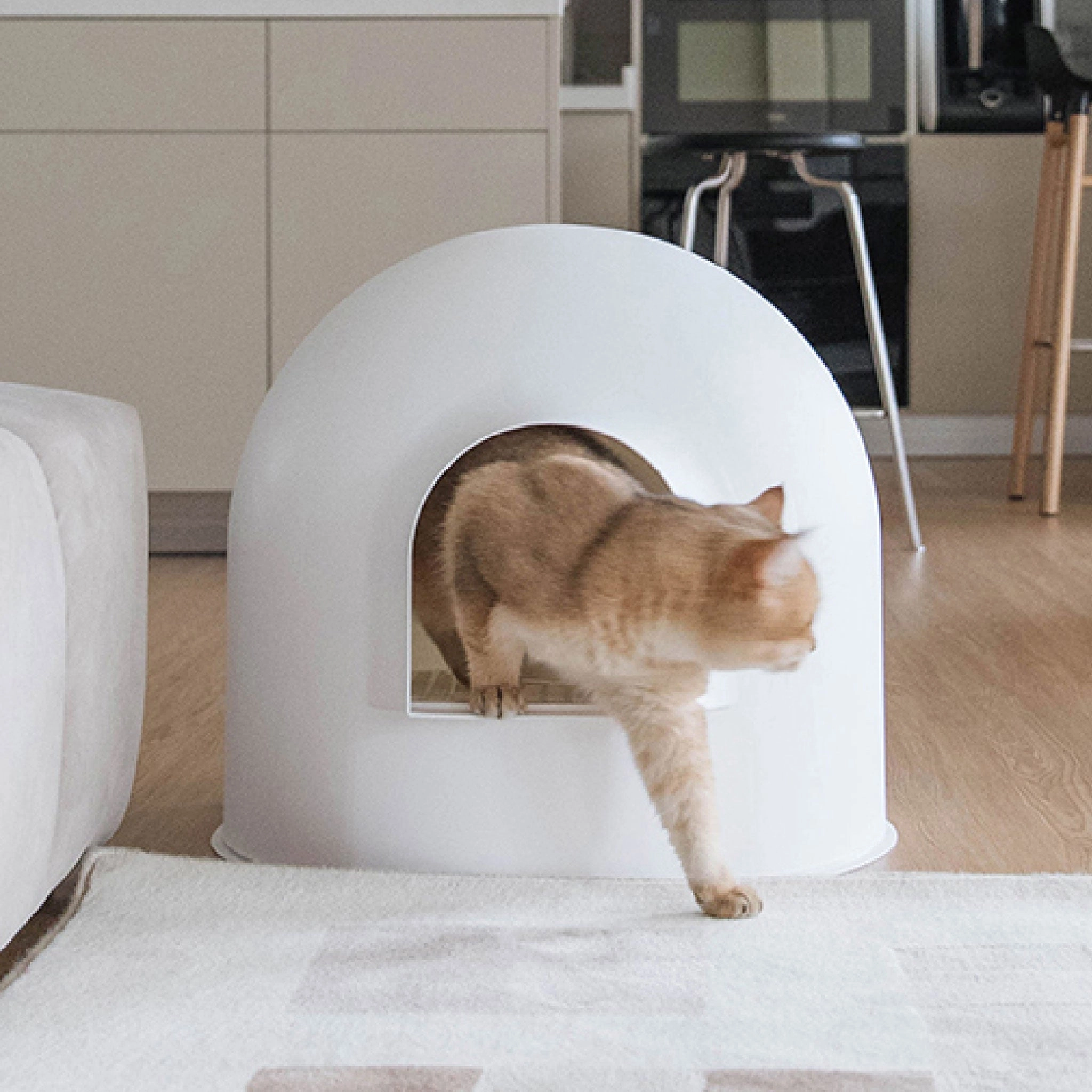 Pidan Igloo Litter Box - White